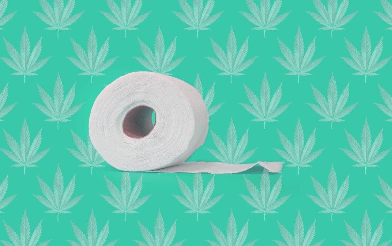 Cannabis, the endocannabinoid system and its relationship with the gut microbiome.