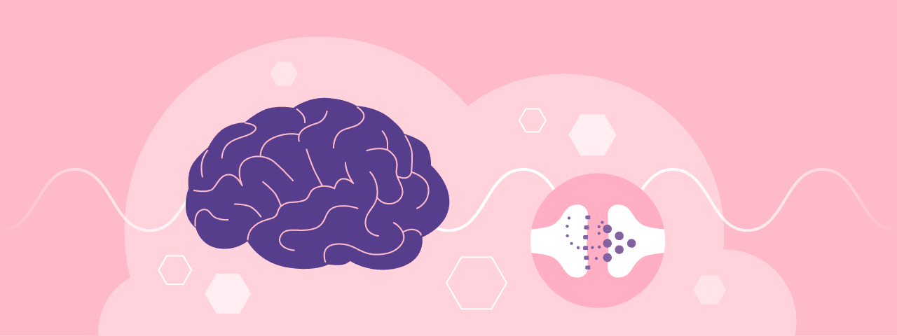An illustration depicting a brain, and cannabinoids interacting with endocannabinoid receptors